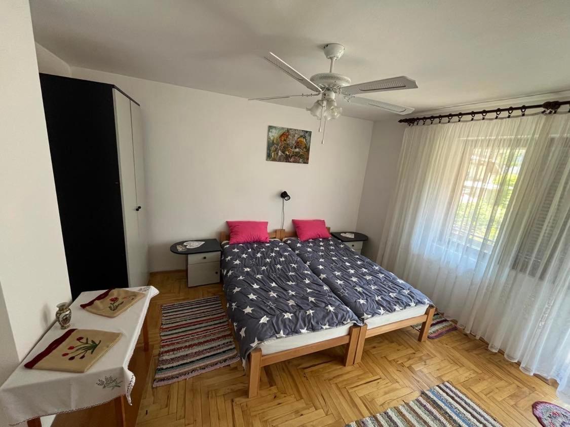 Apartman Velojic Donji Milanovac Exterior foto